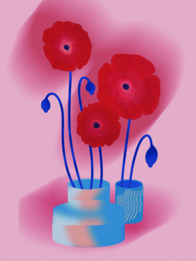 Obra Amapola - Furor